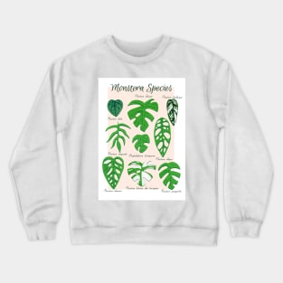 Monstera Species in Gouache- Coral Crewneck Sweatshirt